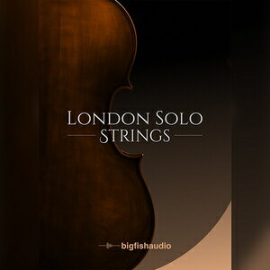 BIG FISH AUDIO/London Solo Stringsy`10/07 ԌLy[zyIC[iz