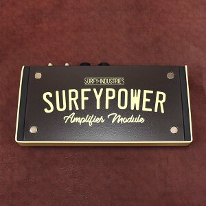 Surfy Industries/SurfyPower�y�݌ɂ���z
