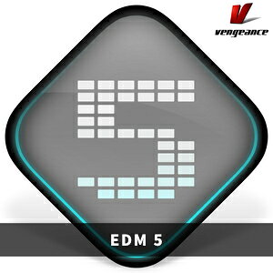 VENGEANCE SOUND/EDM 5�y�I�����C���[�i�z�y�݌ɂ���z