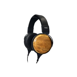 Fostex/TH810