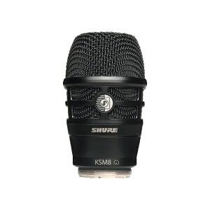 SHURE/RPW174