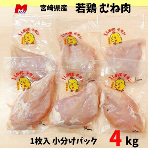 {ނ˓ pbN{茧Y 4kg  1  { {ނ {l `L gp Y  ƒp Ɩp {l Ⓚ 4L Y Ƃ ނ˓ 炩 ނ l Ⓚ