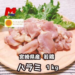 {n~ 1kg { ͂ { { Y{ Ⓚ `L n~ { ē bbq o[xL[ 1L Y  {n~  ǂ Ƃɂ ͂ Ă ē  Ⓚ 