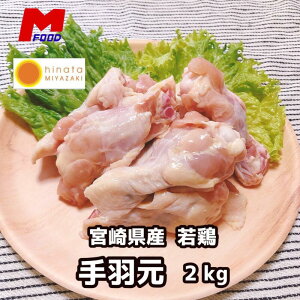 {H 2kg Y{ { H H { Ⓚ `L { ē bbq o[xL[ 2L   Y  {  ǂ Ƃɂ {Y Ⓚ { e 