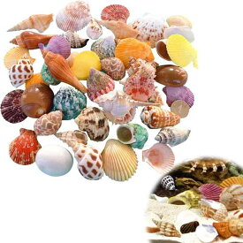 【AAGWW】貝殻 の リース/ヤドカリ 貝殻 貝殻 天然 サザエ ミックス ビーチ 水族館 装飾 ビーチ小物 DIY手作り かまくら造景 風鈴（デザイン：天然サザエの貝殻-Bセット，合計約20個、約250g）