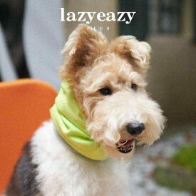 ドッグウェア かわいい 帽子 犬 セーター ヘッドギア 冬 快適 小型 中型 ファッション パープル グリーン