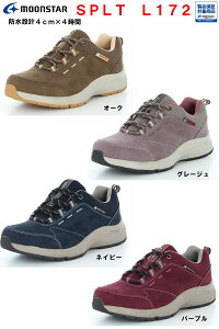 yΉ  h݌v JWAV[Y fB[X SPLT L172 [X^[