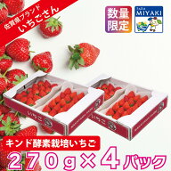 【新生活応援25％OFFクーポン配布中】いちごさん キンド酵素栽培いちご 270g×4パック いちご 苺 イチゴ …