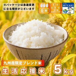 �u�����h�� ���� 5�L�� ��B�Y ���������� ���� 5kg �������� ��B�Y �u�����h�� ���� ���� 5�L�� �������� �ƌv���� ���������� ������