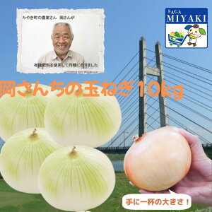 �����񂿂̂��܂˂�10kg �������� ��e�� ���ꌧ�Y �ʂ˂� �l�C �ʔK �J���[ �^�}�l�M ������ �Y�n����