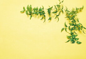 メッセージカード　リーフ