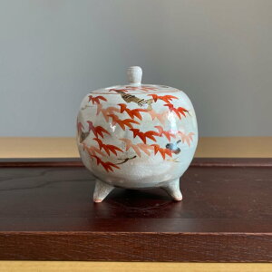   ۍF R_  XrRq@   Ă s  gt  D A}  CeA  v[g 蕨 Mtg Wt  