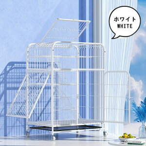 L P[W LbgP[W 3i L݌v Rgݍ킹 g[t LhAt nbNt ^ LQ[W   LbgnEX lR nEX i  ی Eh~ 