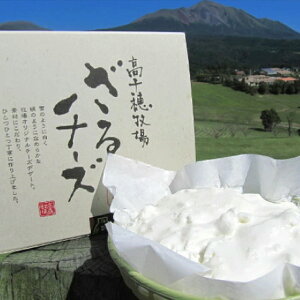 q̂`[Y XC[c i tbV`[Ygp `[YfU[g fU[g 悢ÂƎ_lC ss̍q  Ⓚ ₽ Mtg  ̂悤Ȋ炩