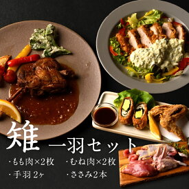 雉肉 キジ ジビエ 1羽まるごと 【たしろ屋 みやざき霧島山麓雉（キジ）1羽セット（約720g相当）】 鍋の具材や炭火焼き 鶏肉 宮崎名物 約720グラム 美味しい 冷凍 冷凍発送 珍しい 珍味 おつまみ 酒の肴 都城 南九州 御中元 お中元