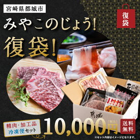 【10％OFFクーポン】みやこのじょう！復袋 （精肉・加工品セット10,000円コース）クール便 にく 送料無料 宮崎県産 復興福袋 宮崎県都城市 訳あり ロス 在庫処分 お取り寄せグルメ フードロス 冷凍食品 もったいない 食品 ロス わけあり 食品 セット ふっこう