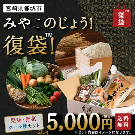 【10％OFFクーポン】みやこのじょう！復袋 （米・野菜・果物のクール便（冷蔵）セット5,000円コース）送料無 宮崎県産 にく 復興福袋 宮崎県都城市 訳あり 食品ロス 在庫処分 お取り寄せグルメ お取り寄せ フードロス もったいない ロス わけあり 食品 セット ふっこう