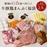宮崎牛入りボリューム満点＼肉好きに贈るまんぷく福袋（11点セット・総重量2.9kgグルメ）肉のまち都城市…