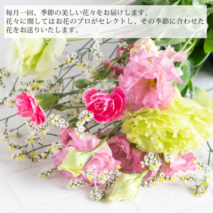 楽天市場 季節の花束 定期便シンプルコース 毎回異なる花が届きます 定期販売 お花 花束 花詰め合わせ フラワー 定期購入 12か月 季節の花 宮崎県産 花 生花 通販 毎月10日もしくは日のみお届け可 極上 みやこのじょう
