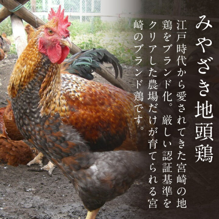 楽天市場 みやざき地頭鶏1羽セット 株式会社鶏愛 地頭鶏の様々な部位を1羽丸ごとセットにしました 宮崎の地頭鶏 鶏肉 地鶏 お肉 美味しい ボリューム 霧島裂罅水と乳酸菌や海藻を配合した飼料で育てています 極上 みやこのじょう 楽天市場 みやざき地頭鶏1羽セット 株式会社鶏愛 地頭鶏の様々な部位を1羽丸ごとセットにしました 宮崎の地頭鶏 鶏肉 地鶏 お肉 美味しい ボリューム 霧島裂罅水と乳酸菌や海藻を配合した飼料で育てています 極上 みやこのじょう