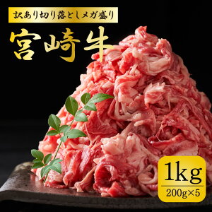 {苍 󂠂 ؂藎Ƃ {苍A؂藎Ƃ1kgZbg K 200g×5pbN Y 4ȏ A5N A4N 1L јa  ~ Mtg   Ă J[ 