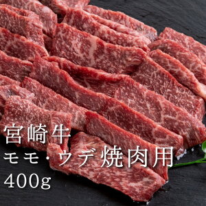{苍 Ԑg ēpEEf  {苍EEfē400g Ăp  Ef 400O ēp BBQ o[xL[p A4 A5 j 蕨 p  Ε yY Mtg