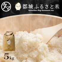 楽天市場】宮崎県産 ヒノヒカリ 5kgの通販