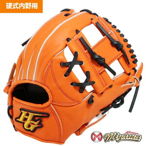 硬式 野球グローブ ハイゴールドの人気商品・通販・価格比較 - 価格.com