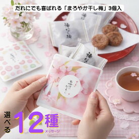 プチギフト「干し梅小袋入」「ハーブティー」お世話になりました（新デザイン入荷！ミニギフト/退職/お礼/卒業/年賀　プチギフト】【プチギフト 退職）【プチギフト 子供】