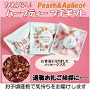 プチギフト【お世話になりました】「ハーブティー」2Teabags ピーチ&アプリコットティー【ミニギフト 退職 子供 ありがとう】