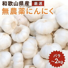 にんにく 有機栽培 オーガニックにんにく和歌山県産 250g 1000g 2000g 1kg 2kg 無農薬 自然栽培 バラ売り 新鮮 野菜 国産 日本産 料理素材 健康食材 1000円 1000ポキ 送料無料 グルメ 美容 栄養豊富 食べる健康 毎日の食卓に 食べやすいサイズ バラ売り