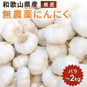 yA 1,000~|bLzɂɂ L@͔| I[KjbNɂɂa̎RY 250g 1000g 2000g 1kg 2kg _ R͔| o VN  Y {Y f NH 1000~ 1000|L 