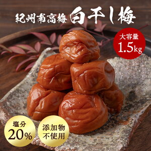 ~ 1.5kg 1500g 20% ~  2L`4LTCY 󂠂   썂~ a̎R IB Y {Y { Ԃ Ɖu ~ VR Y _ Ysgp ⋋ ɂ