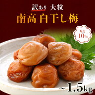 【P5倍】梅干し 減塩 白干し梅 250g / 600g / 900g / 1.5kg 訳あり 塩分10% 梅干し 2L〜4Lサイズ お中元 …