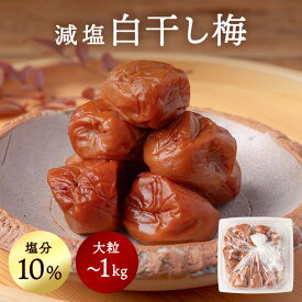 減塩 白干し梅 1kg 600g 300g 塩分10% 梅干し 2L〜4Lサイズ お中元 訳あり 梅干し 減塩 送料無料 南高梅 和歌山 紀州 国産 日本産 日本製 つぶれ 免疫 梅干 天然塩 すっぱい 塩分補給 おにぎり おつまみ おかず 白ごはん 梅サワー 宮本農園 1000ポキ
