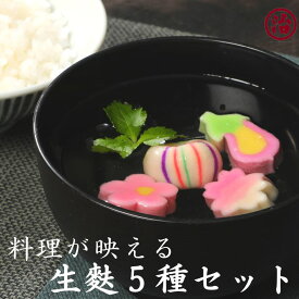 ＼料理が映える生麩5種セット／ お吸い物 お食い初め 手土産 ギフト 贈り物 お祝い 生麩 誕生日 プレゼント 麩 誕生日 内祝い 麩 お麩 和食 おもてなし料理 うめ生麸 さくら生麩 なす生麩 てまり生麩