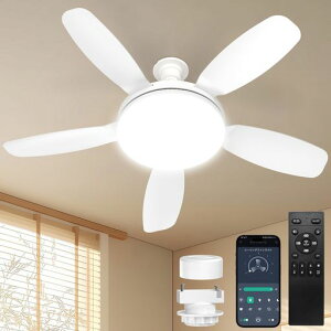 TENKOO&YOU�V�[�����O�t�@�����C�g�y�啗�ʁE����ʁz��81cm5000lm44W8~10��E26��@LED�t�@���t���Ɩ����t��]��^APP/2.4G�����R���t��DC���[�^�[���i�K�������F3�K�i���ʒ��^�C�}�[�ȃG�l