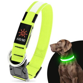 Illumifun LED光る首輪 - USB充電式ライトアップドッグカラー - 夜間の犬 散歩 ライト 調整可能な安全 ペット用品 犬用首輪 (緑色, M)