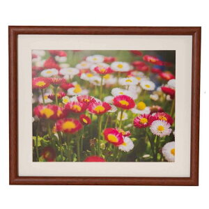 FUJICOLORؐzM216؃uE407871