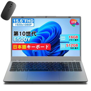 Dobios �m�[�g�p�\�R�� ��10���� 6500Y �yN5095��AMD 3020e��葬���z15.6�C���` 1920x1080 IPS�t�� WEB�J���� ���^�m�[�gPC Wi-Fi5 ���b�v�g�b�v