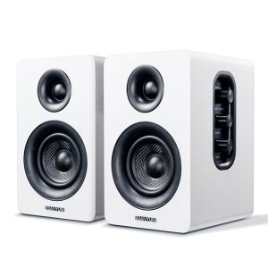 Sanyun SW208 3 �h�A�N�e�B�uBluetooth5.0�u�b�N�V�F���t�X�s�[�J�[? 60W�J�[�{���t�@�C�o�[�X�s�[�J�[���j�b�g?����24�r�b�gDAC ?�_�C�i�~�b�N3D�T���E���h�T�E���h? PC���j�^�[�Q�[�~���O�X�c