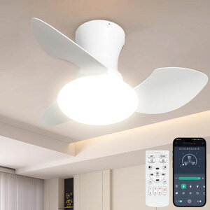 �y�ɐÁE�����zTENKOO&YOU�V�[�����O�t�@�����C�g52W4500lm���^��65cm7~10��led�t�@���t���Ɩ��V���@���F����DC���[�^�[���t��]6�i�K���ʒ����F�����F�d���F������/�^�C�}�[�@�\