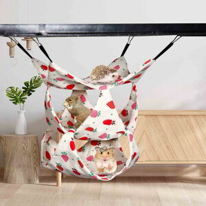 nX^[nbNĂЂ菬P[W3w݂艺QܐQybgxbgʋCLoXnbNybgKnbNnX^[c