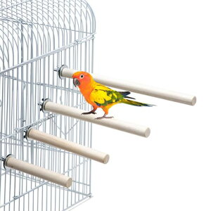 CRƂ܂4{ZbgVRؒ~܂؃X^h܌CRAX`bNp[`ނIJCRZLZCCRIEXgX12cm14cm15cm20cm