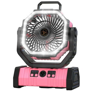 IssufelLv@AEghA[dy20000mAht@ző65ԘAgp4iKߒ͎U胊Rt^C}[@\32LEDCgDC[^[ᑛ@\݂艺c