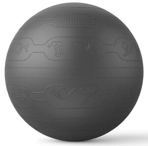 PROIRON�o�����X�{�[��65cm�΂�񂷂ځ[��g���[�j���O�K�C�h�p�^�[���t�������W���{�[���o�����X�{�[���֎q�X�|�[�c�ω׏d300KG�A���`�o�[�X�g��C����t��(�u���b�N)