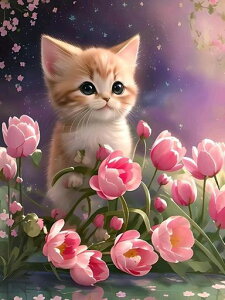 _ChA[g5DUCNA[gxmRDIYG|Lbg_CAhr[YGLbg_ChhSʓ\t^CvƗp(ԂɔL)