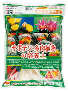 약a_aT{eEA̔|{y10bg