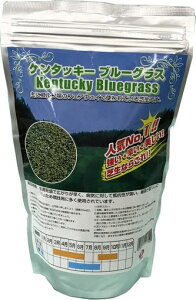 ԉcmŎqP^bL[u[OX1Ll211710