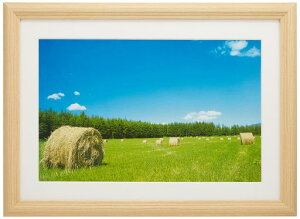 FUJICOLORzYM-3ANؒnCh6ؖؐx[W22463